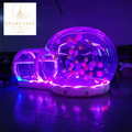Aura Bubble Dome 🌈